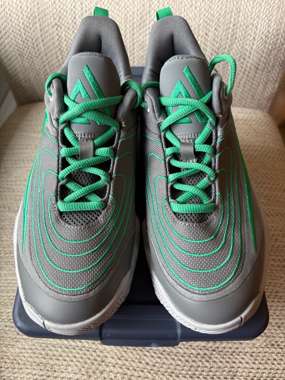 NIKE Giannis Immortality 4 - Boys size 5.5
